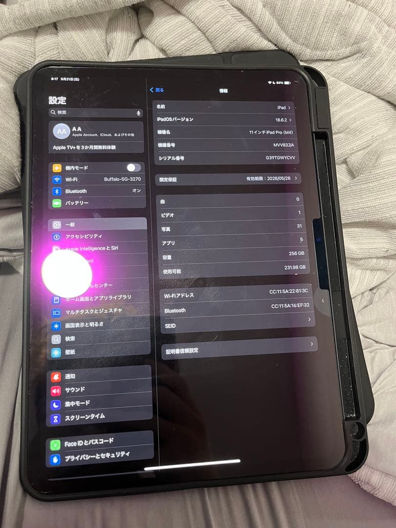 iPad Pro 11インチ256GB 2024型 美品 充電100%