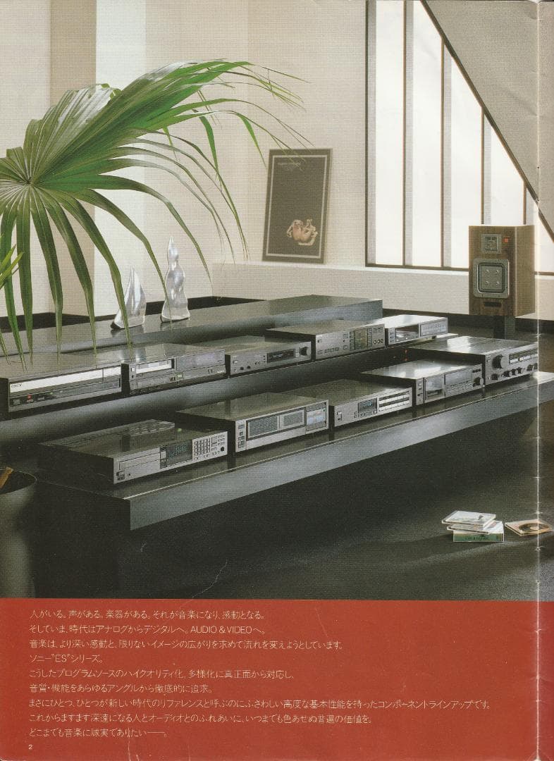 SONY APM-22ES 希少 Rosewood 連番 メンテナンス済み