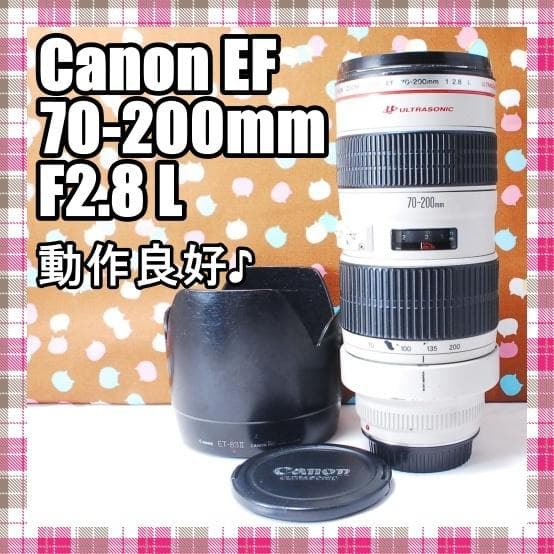 ✨憧れの白レンズ✨Canon EF 70-200mm F2.8 L