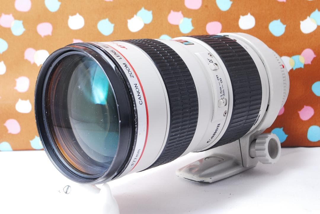 ✨憧れの白レンズ✨Canon EF 70-200mm F2.8 L