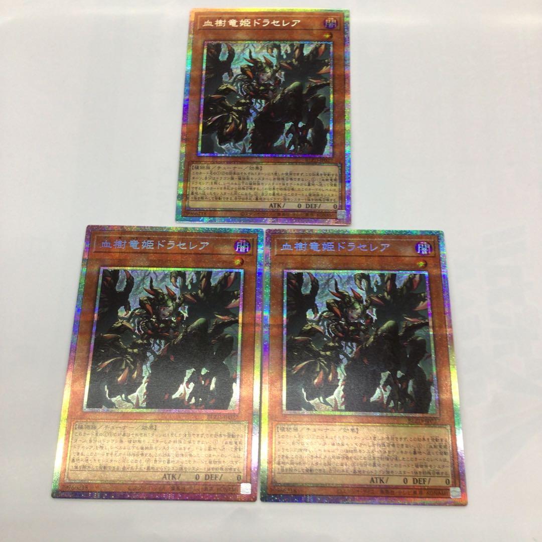 遊戯王　血樹竜姫　ドラセレア　プリシク　3枚セット