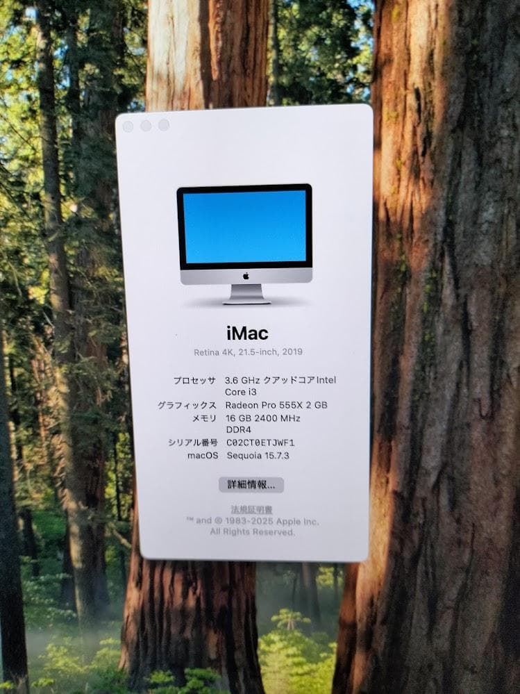iMac 2019 21.5　4K Retina