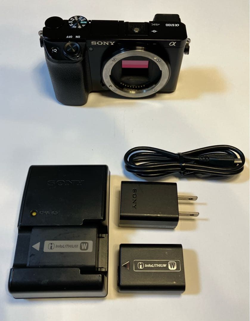 【ゆう】α6100 レンズセット【ボディのみ可】| 使用少 SONY