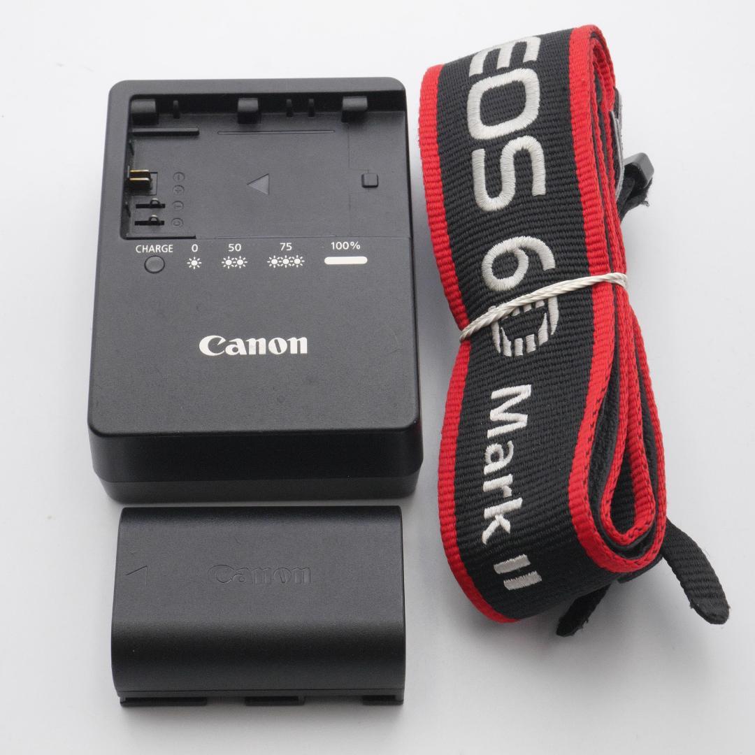 Canon EOS 6D Mark II ボディ キヤノン