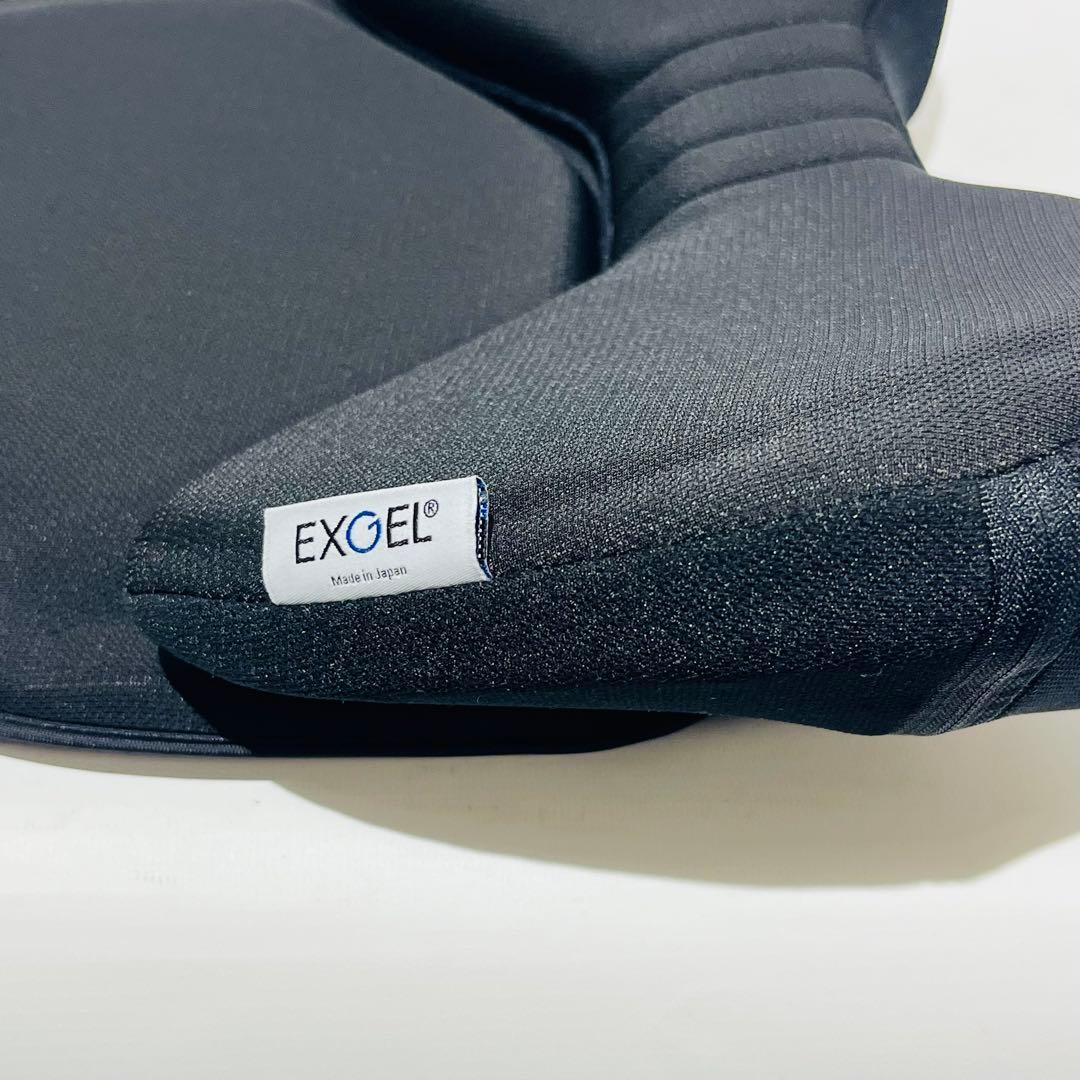 EXGEL HUG DRIVE HUD01-BK エクスジェル 腰痛