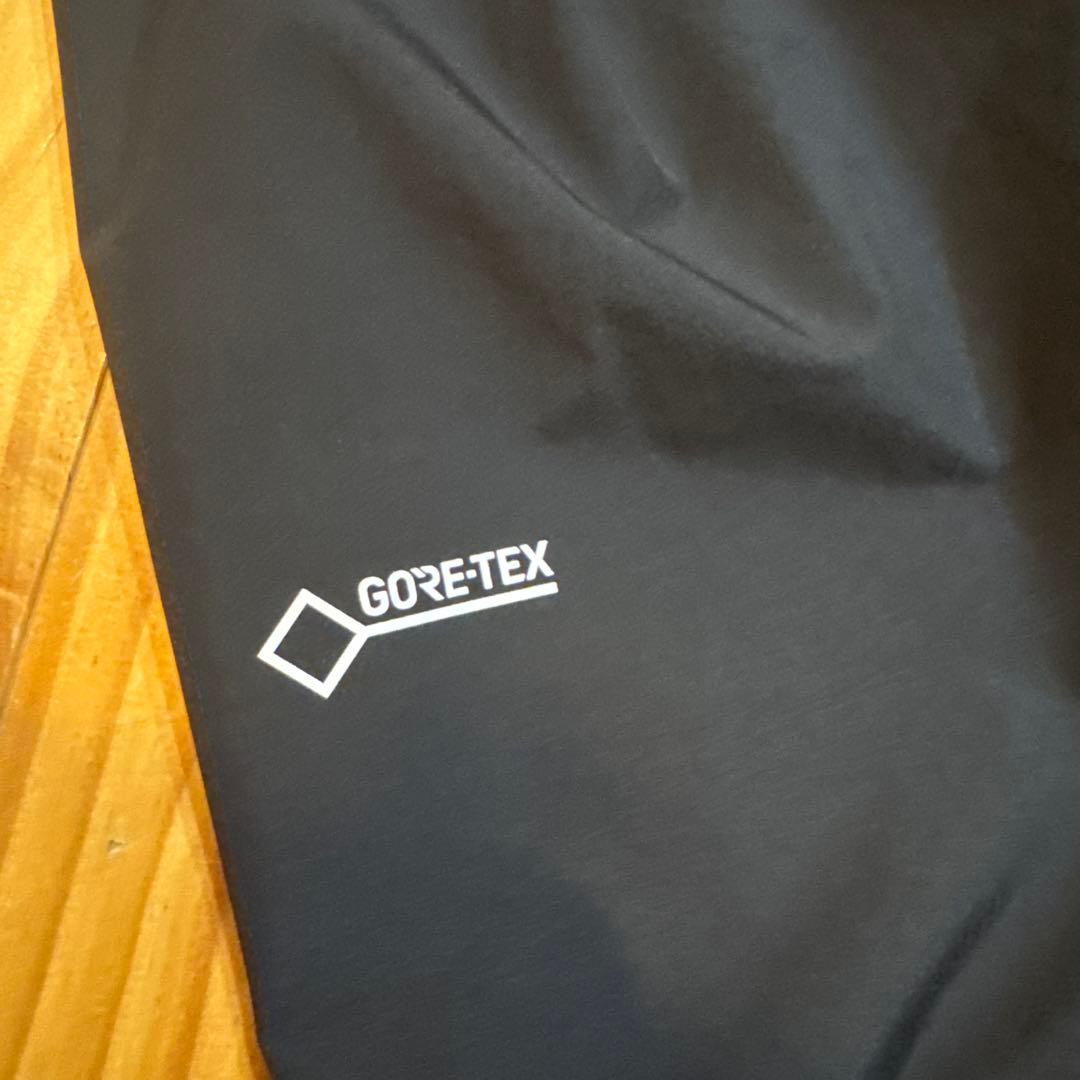 THE NORTH FACE GORE-TEX サイズL NP11712