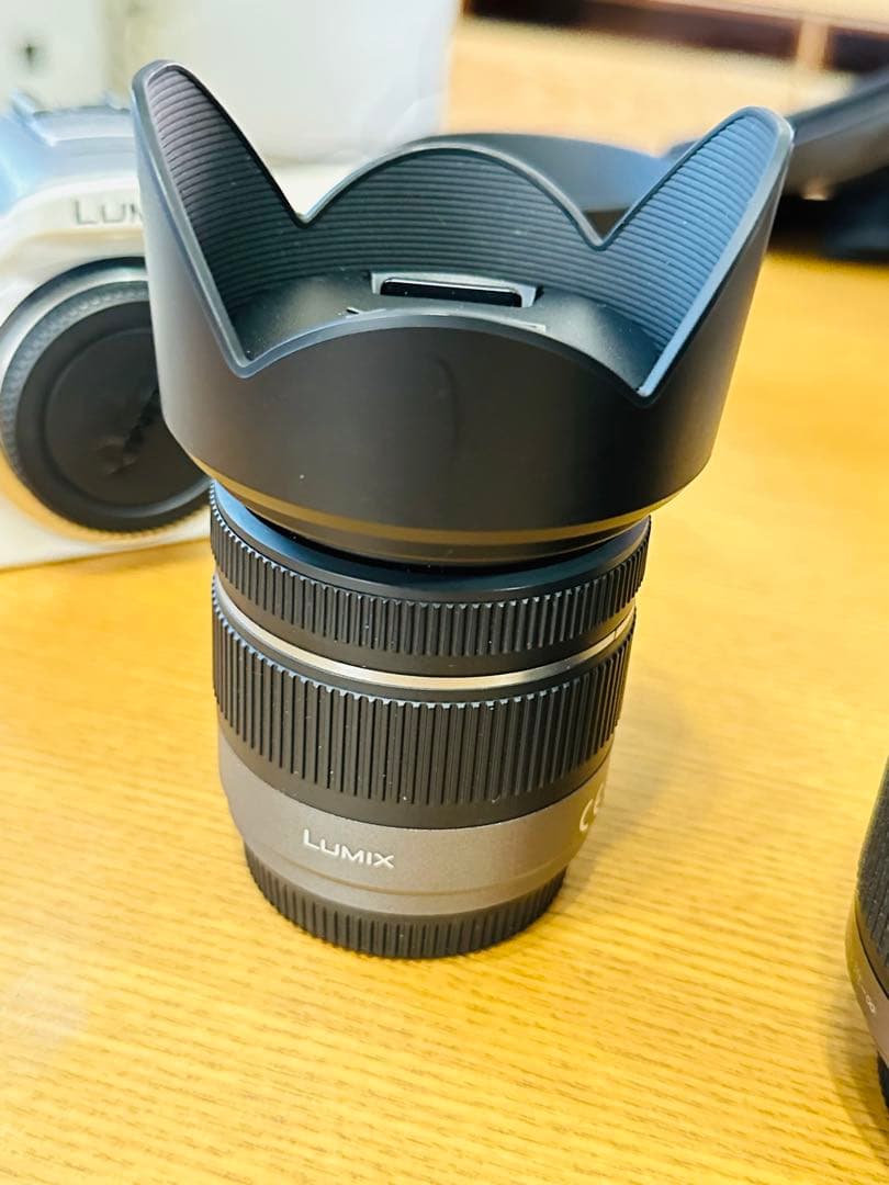 本日限定値下げ パナソニックLUMIX DMC-G3 ミラーレス一眼 レンズ2個