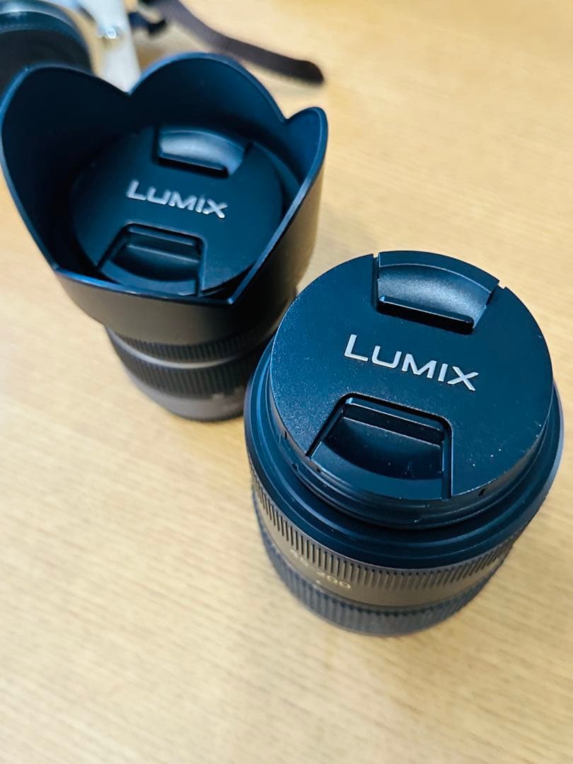 本日限定値下げ パナソニックLUMIX DMC-G3 ミラーレス一眼 レンズ2個