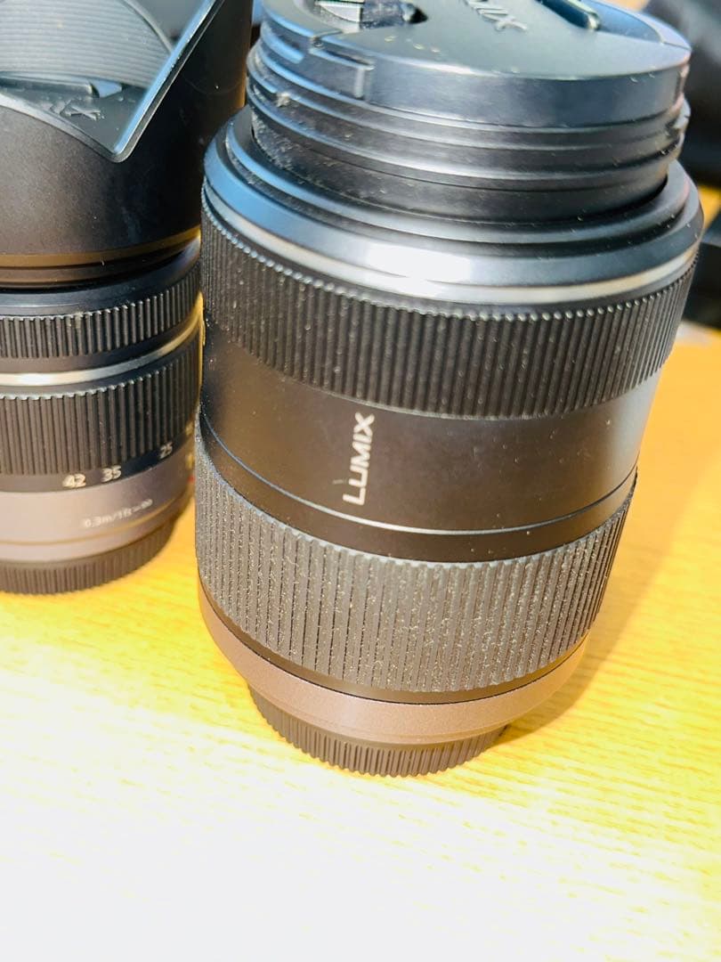 本日限定値下げ パナソニックLUMIX DMC-G3 ミラーレス一眼 レンズ2個