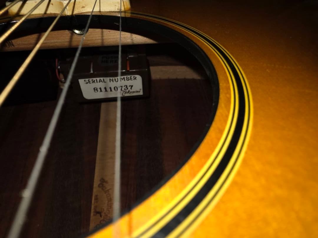 アコースティックギター TPー007S