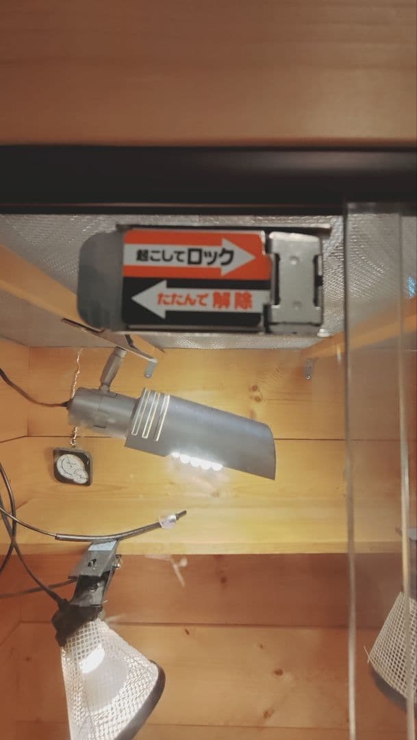 中型爬虫類飼育フルセット