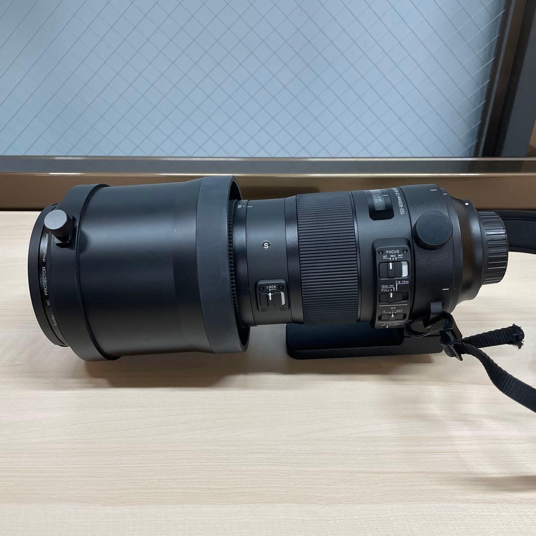 【はるか】SIGMA 150-600mm F5-6.3