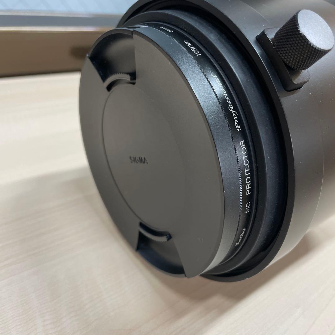 【はるか】SIGMA 150-600mm F5-6.3