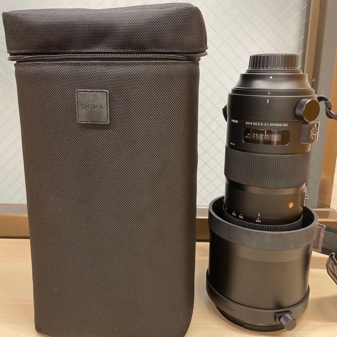 【はるか】SIGMA 150-600mm F5-6.3