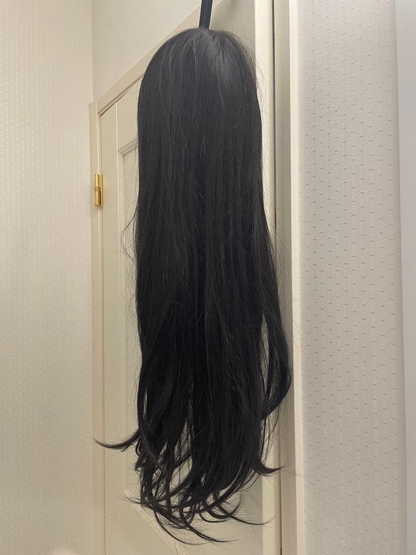 アクアドール AQUADOLL VENUS医療用ウィッグ ロング ブラック