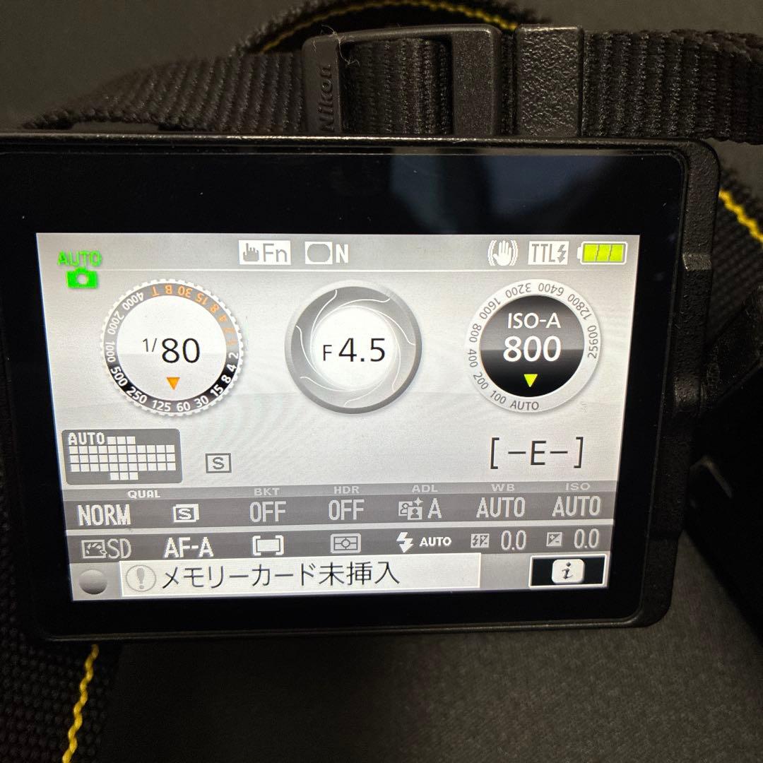 訳アリ Nikon D5500 デジタル一眼レフカメラ