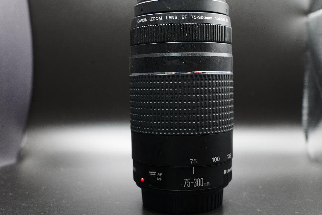 望遠レンズ Canon EFレンズ EF75-300mm F4-5.6 III