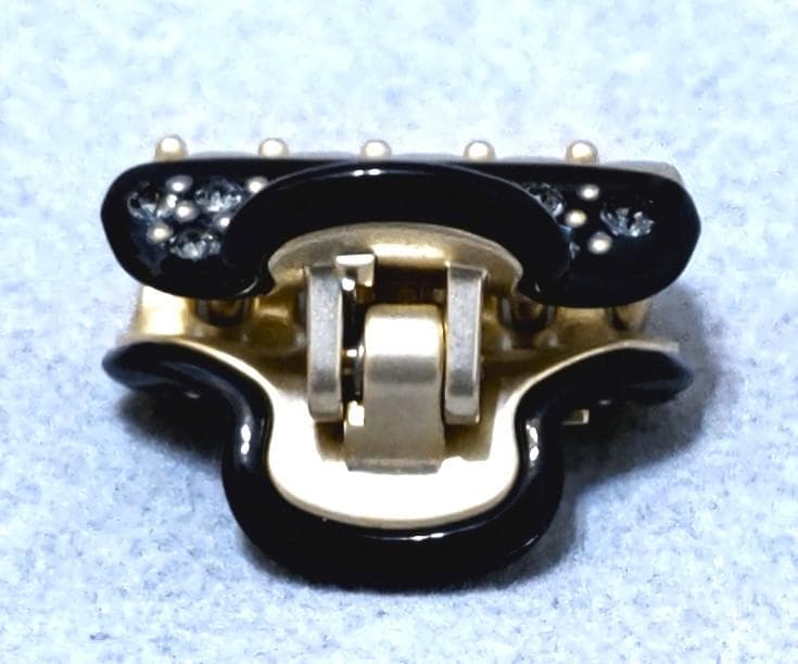 ALEXANDRE DE PARIS　キラキラ　ヘアクリップ　38586