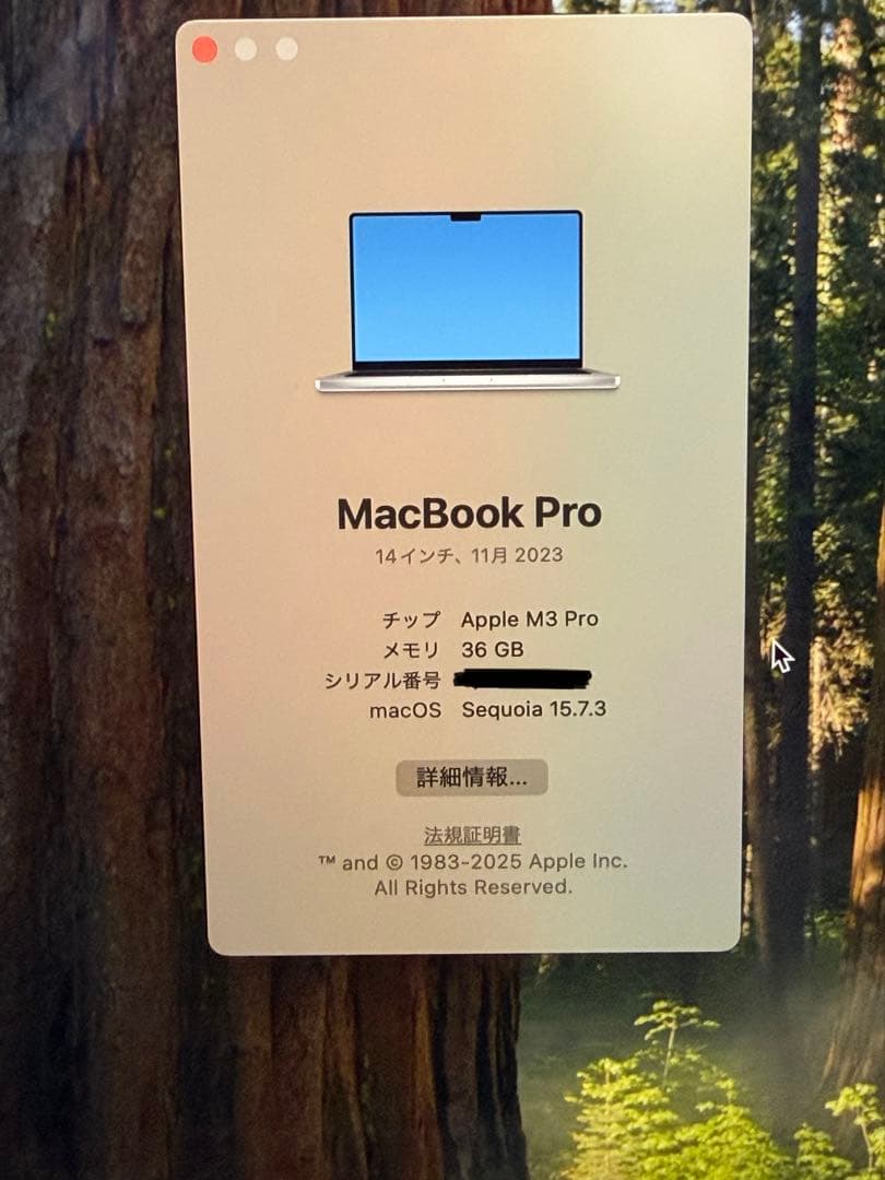 新品に近いMacBook Pro 14 M3 Pro 36GB US