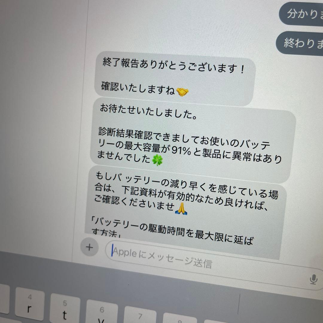 iPad mini5 第５世代　256GB Wi-Fi 割れなし