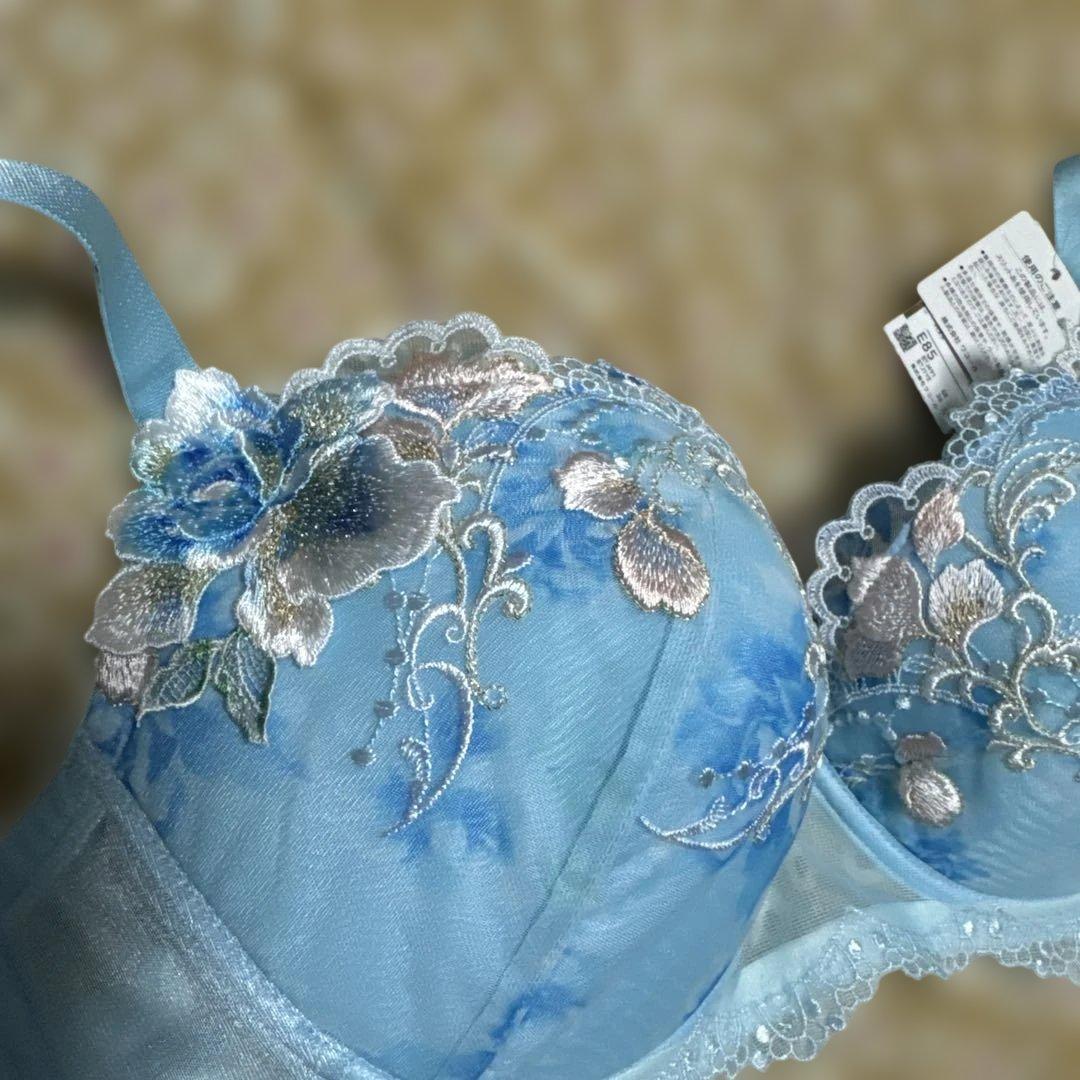 ワコールサルートe85 ショーツセット