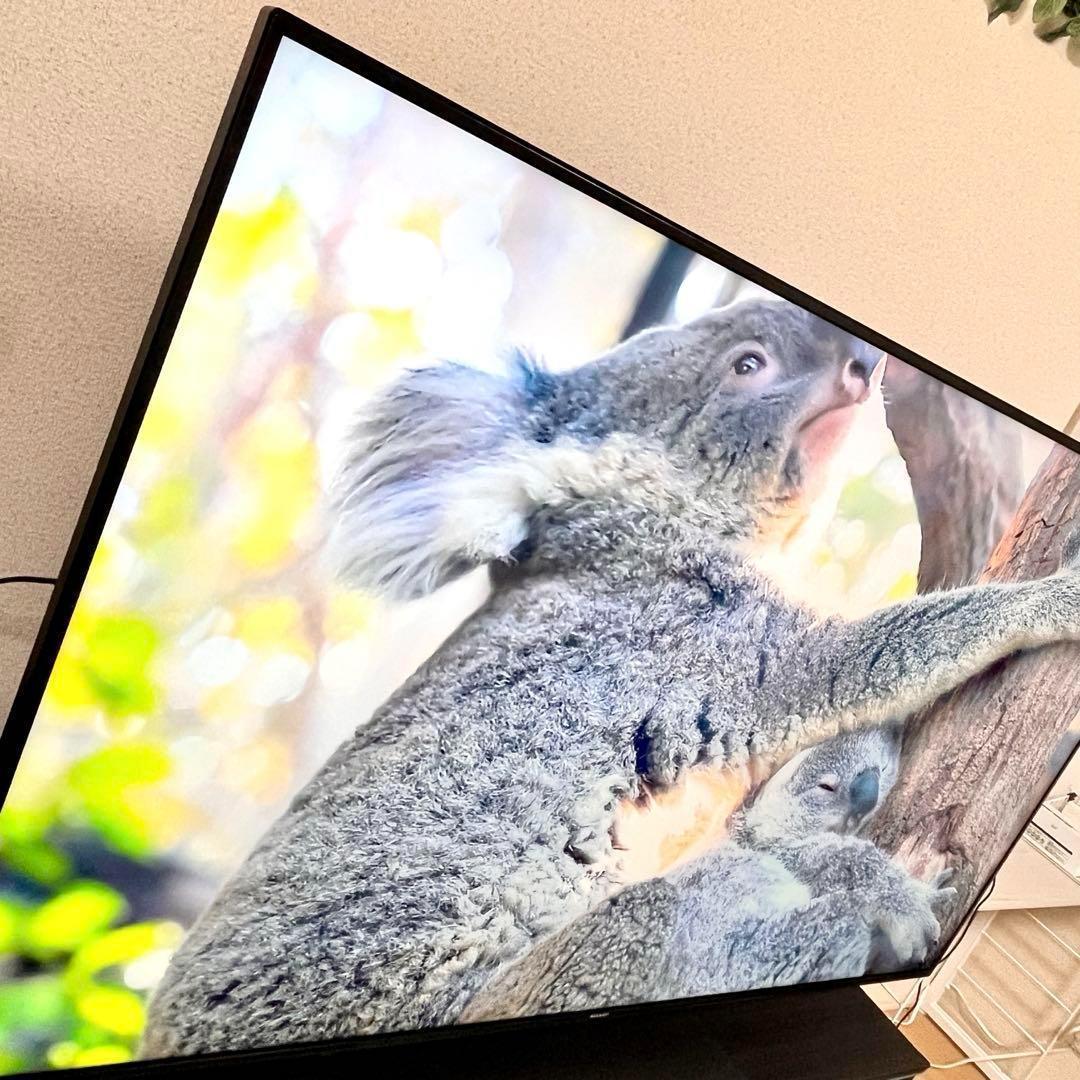 液晶テレビ シャープ アクオス 70インチ 4K 4T-C70DN1 家電 TV