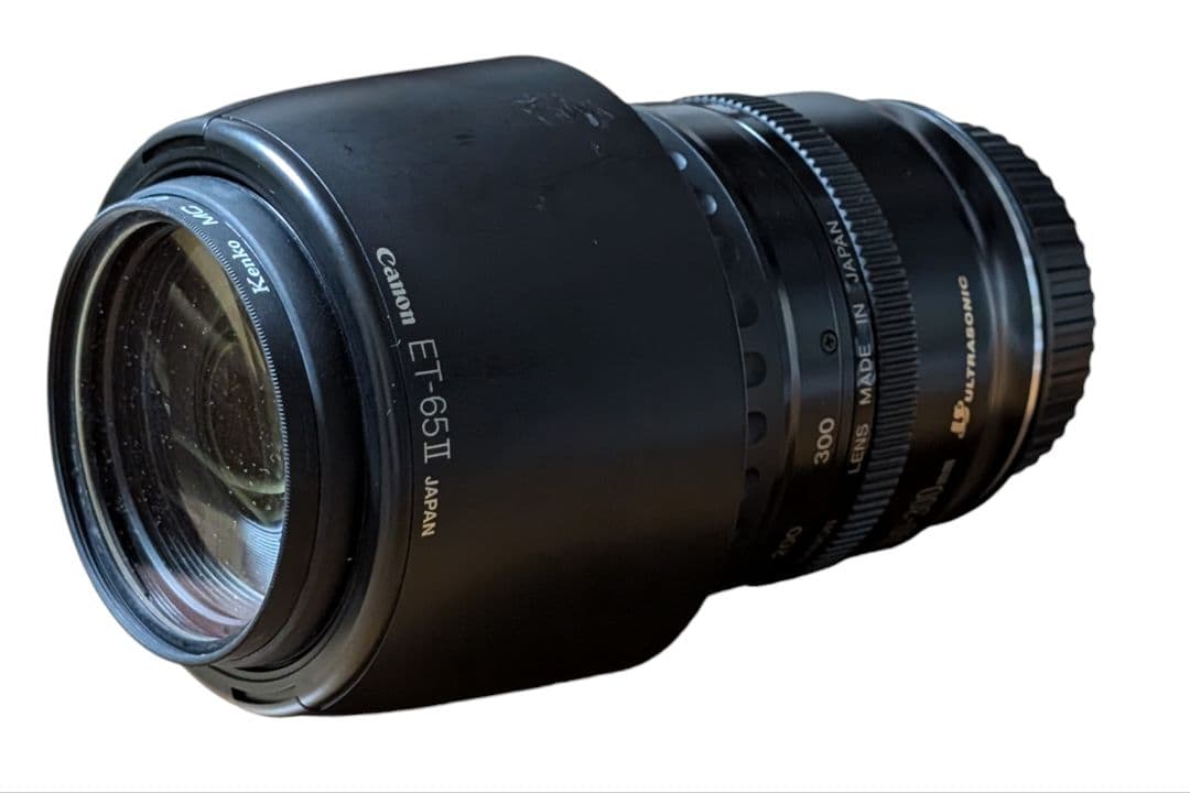 CANON キャノン EF 100-300/4.5-5.6