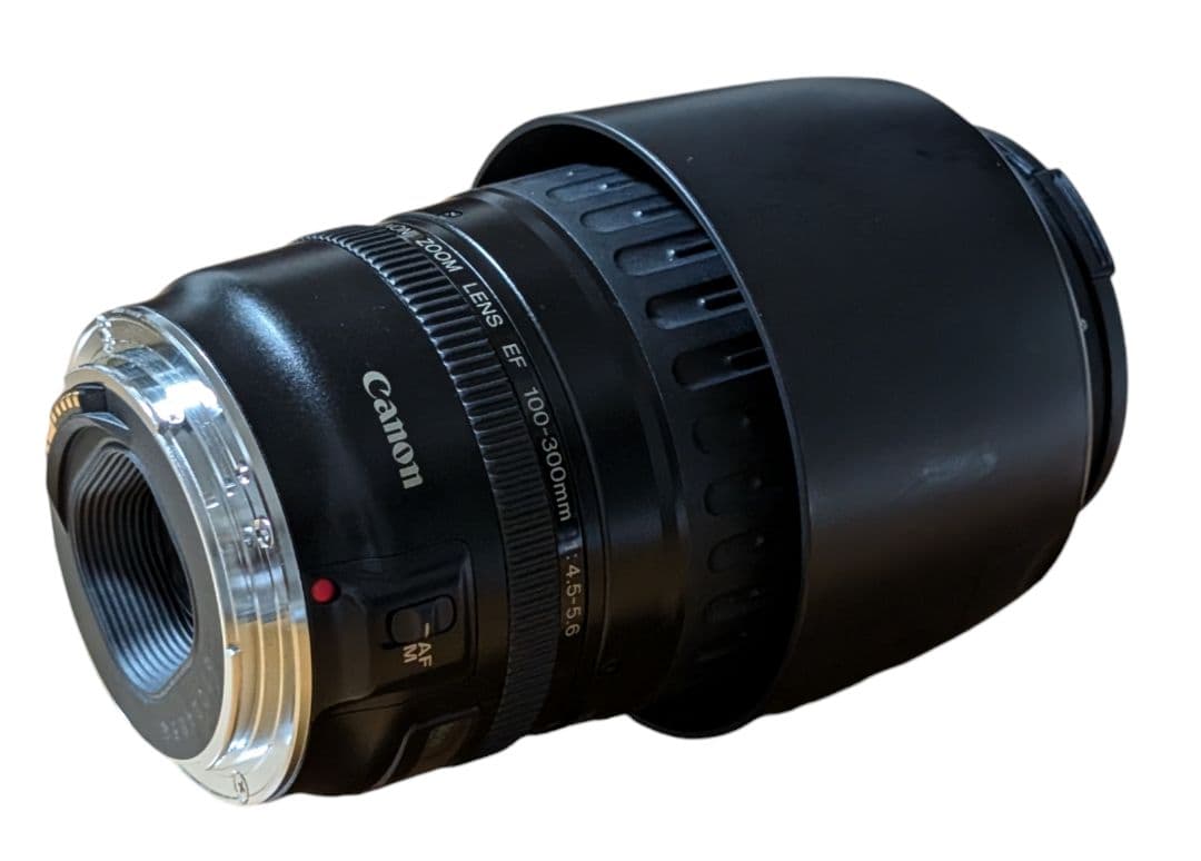 CANON キャノン EF 100-300/4.5-5.6