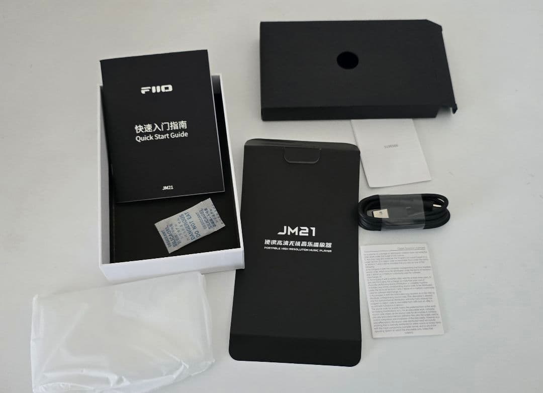 [美品・使用期間少なめ] FiiO JM21 ケース付き