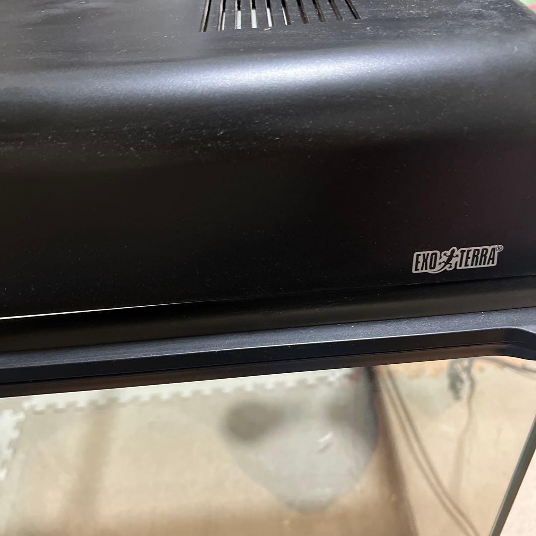 。専用 エキゾテラGEX EXOTERRA グラステラリウム6045