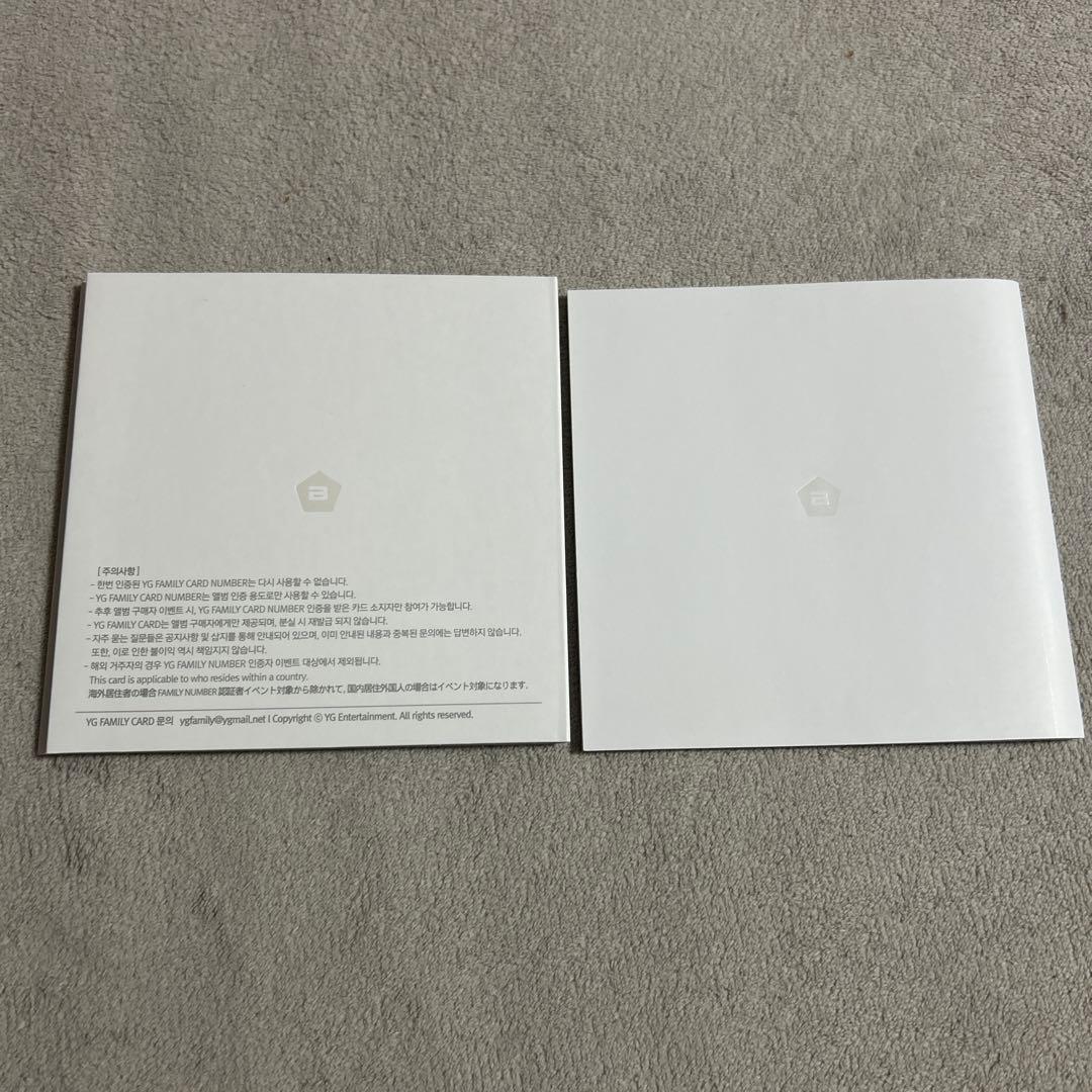 BIGBANG SPECIAL EDITION STILL ALIVE 輸入盤