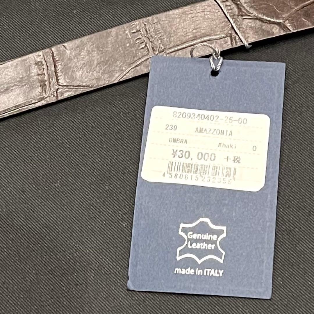 ✨希少✨新品✨SICONS シコンズ タブレットケース クロコ型押し カーキ色