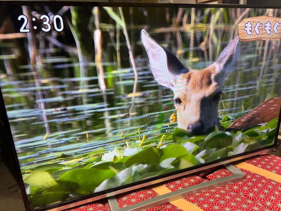 TOSHIBA LED REGZA 50G9 50型　超美品