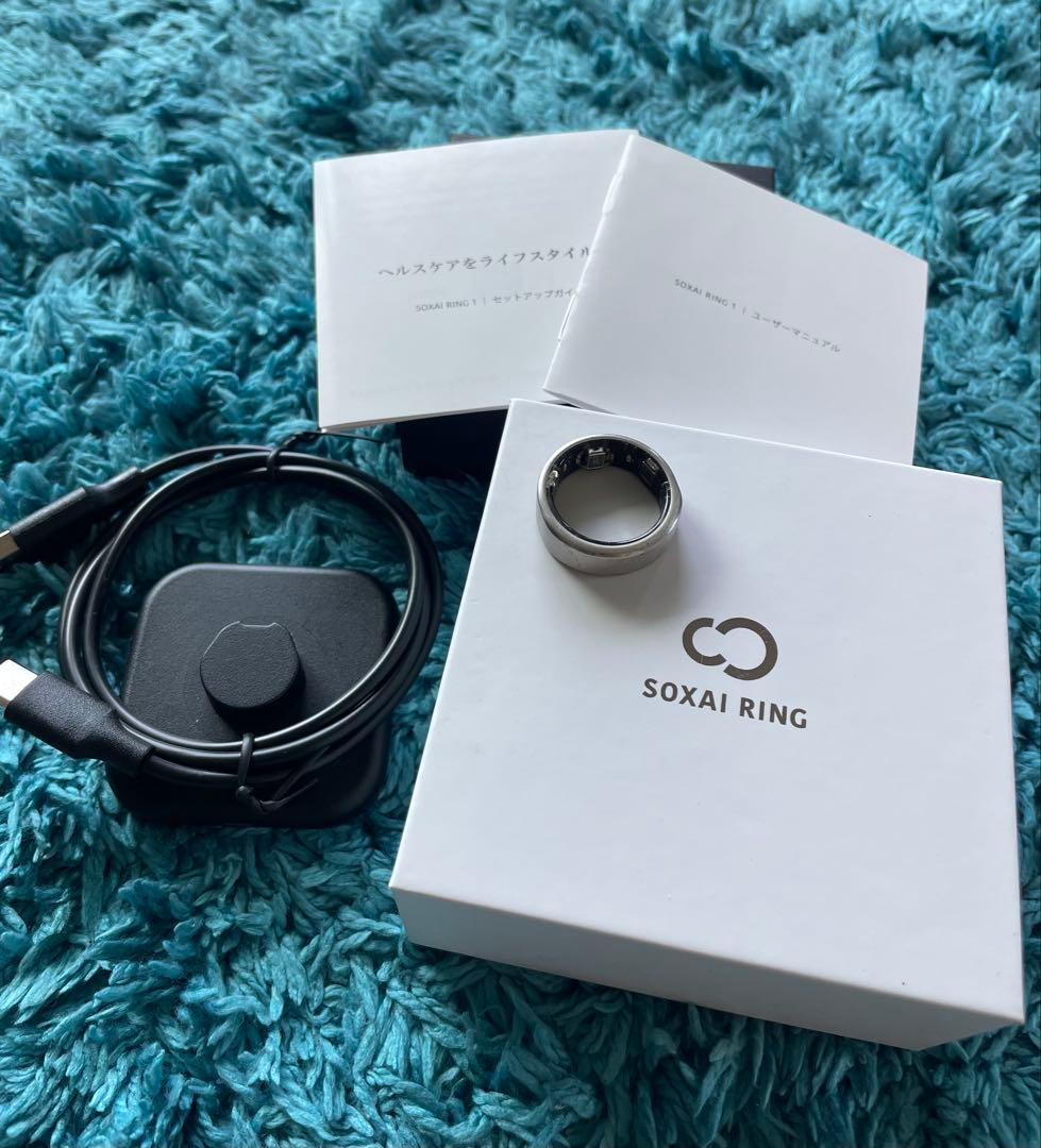 SOXAI RING 1.0 16号 マットシルバー ソクサイリング