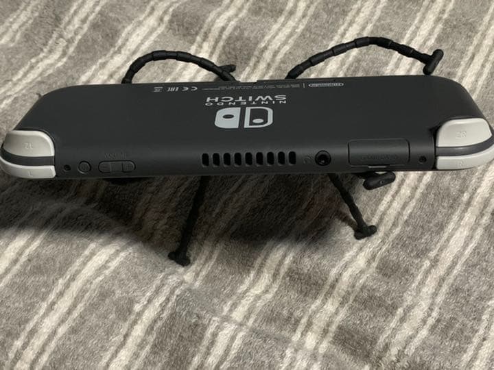 その他 Nintendo Switch NINTENDO SWITCH LITE