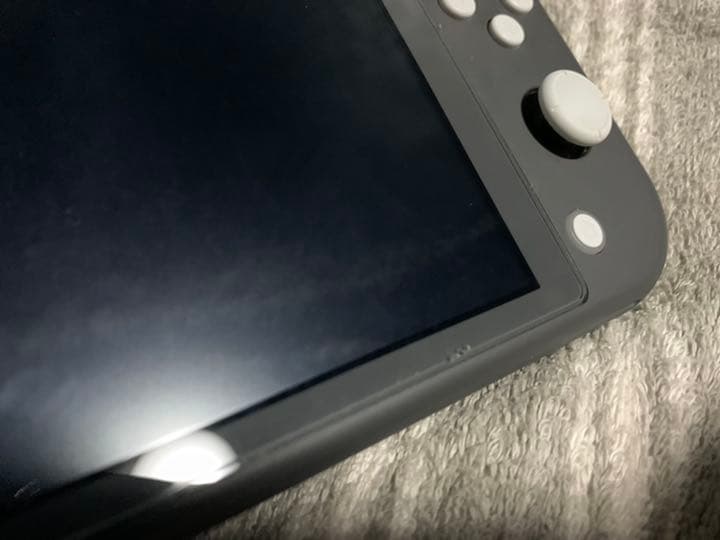 その他 Nintendo Switch NINTENDO SWITCH LITE