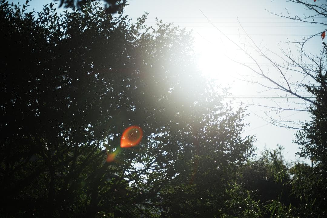 【整備＆テスト済】Nikon Ai Nikkor 50mm F1.4 994