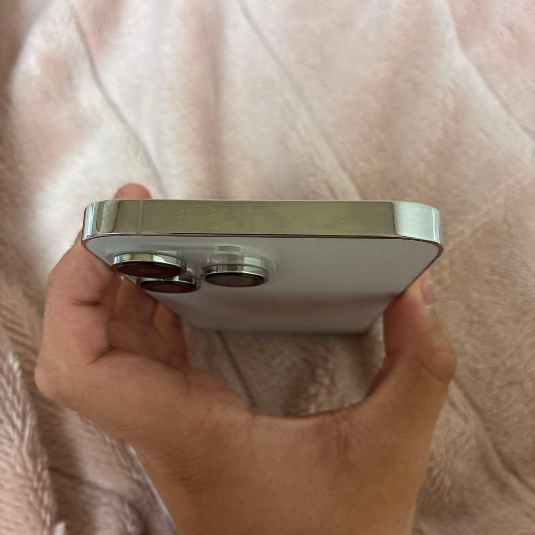 iPhone 14 Pro Max シルバー 1TB (中古品) 箱、充電器なし