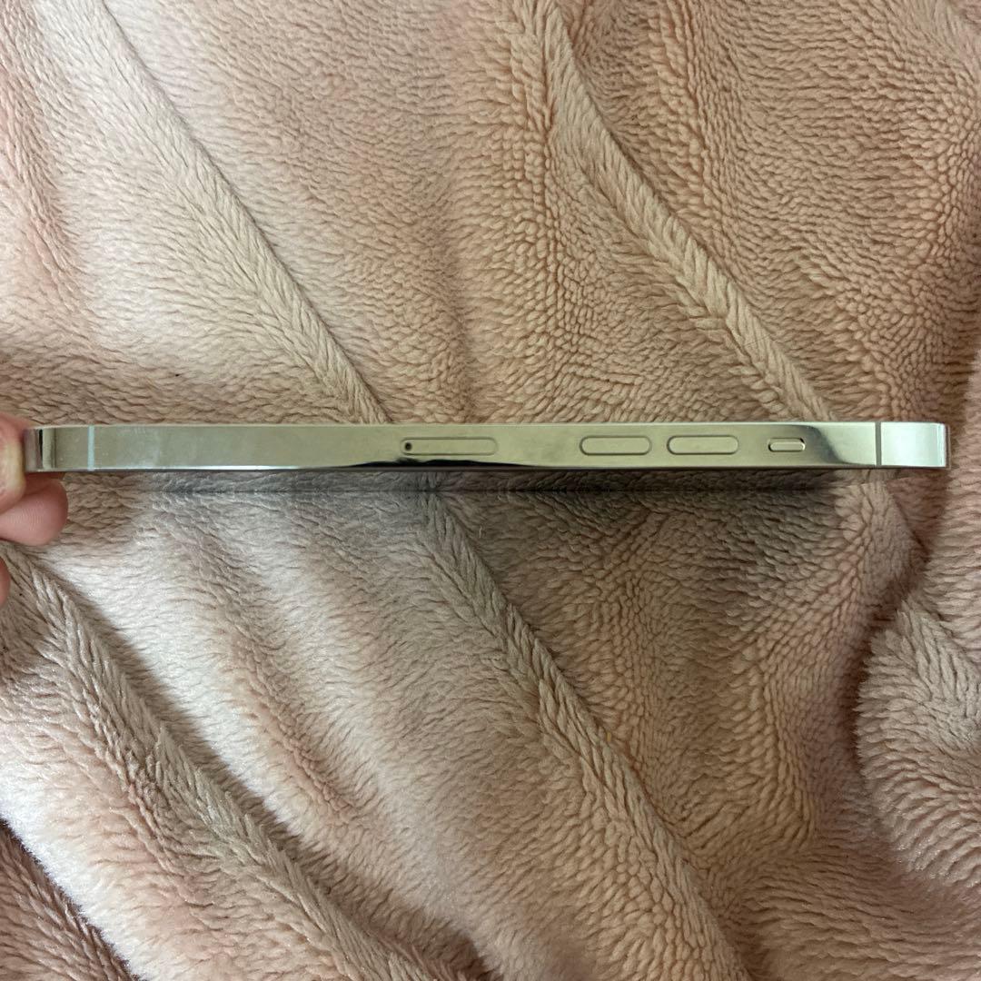 iPhone 14 Pro Max シルバー 1TB (中古品) 箱、充電器なし