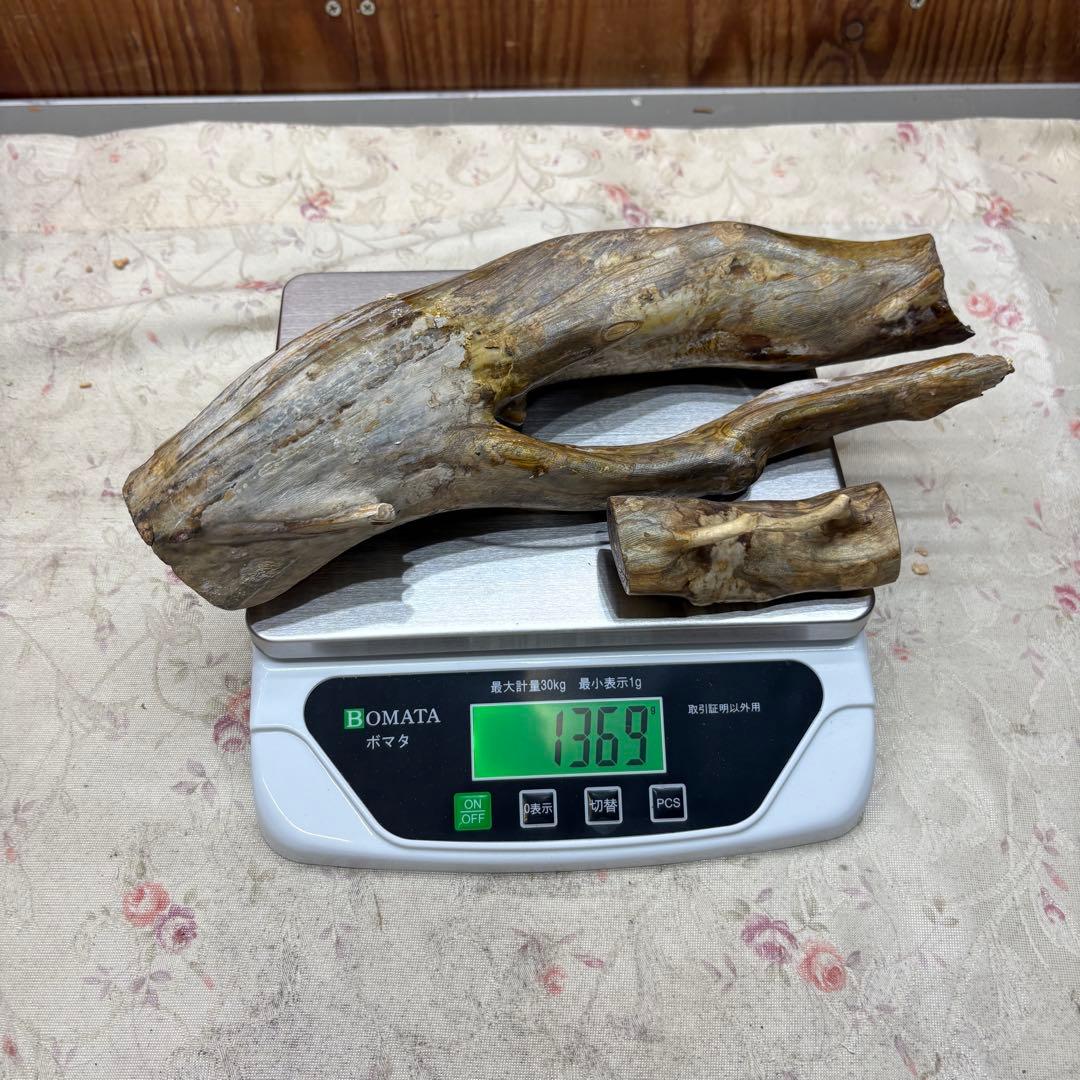 海松　深海松　レインボーコーラル　置物　素材　原木