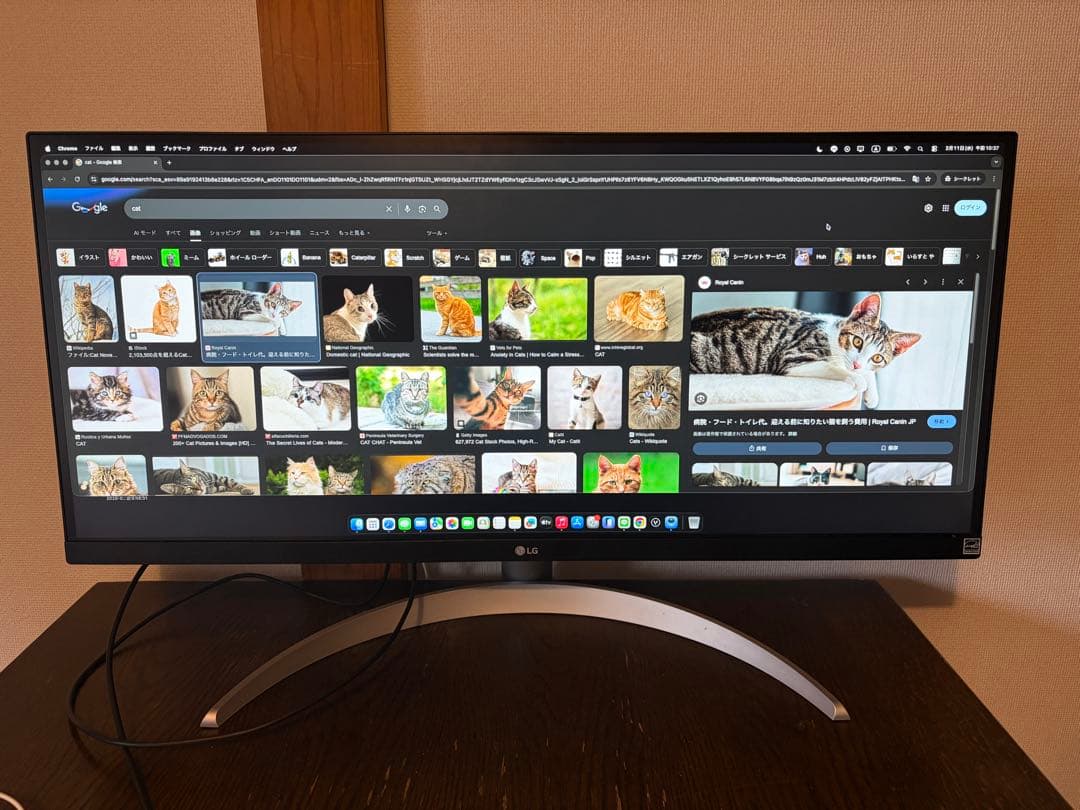 LG ディスプレイ本体 ホワイト