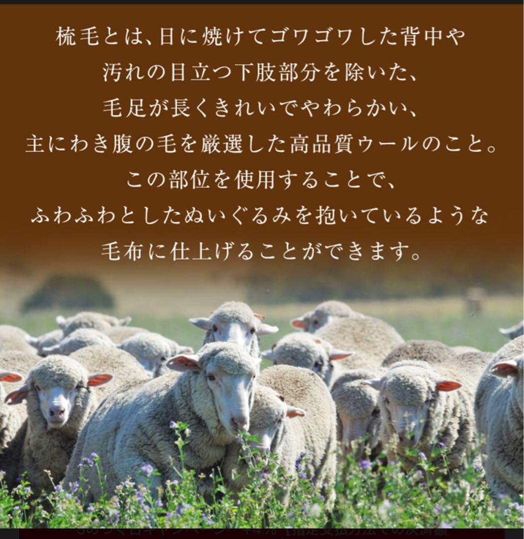 新品✨快眠博士 プレミアム ソフゥール タスマニアンウール 敷き毛布 シングル