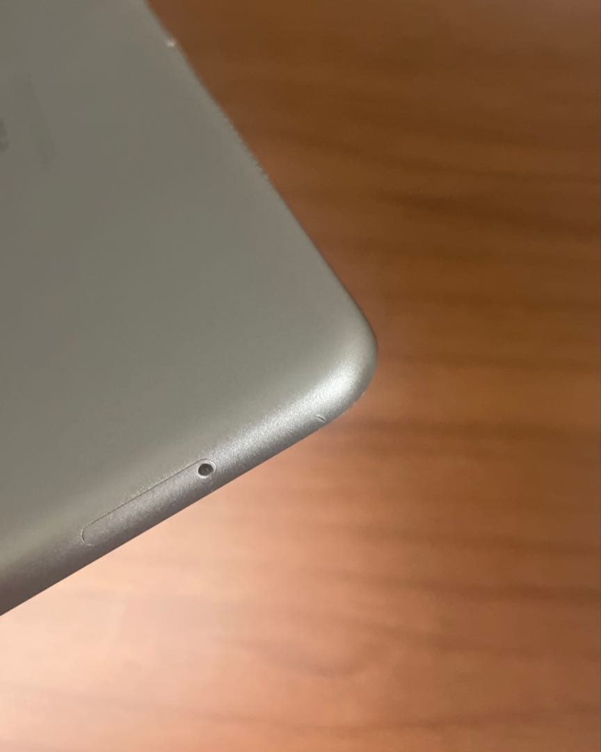 Z*4様 iPad Pro 10.5 512GB + キーボード・マウス　SIM