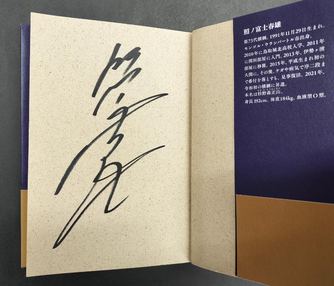 照ノ富士春雄「奈落の底から見上げた明日」