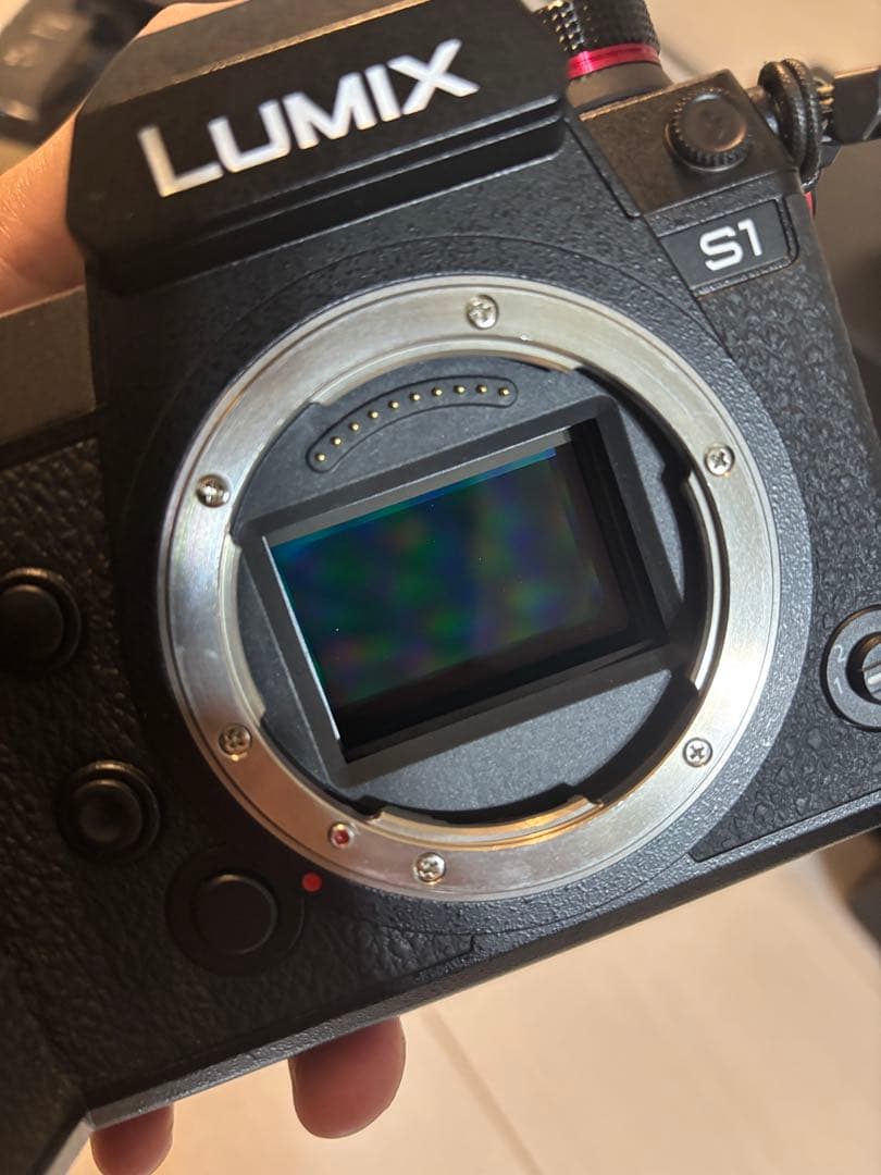 【少し訳あり・海外版】Panasonic LUMIX S1 ボディ