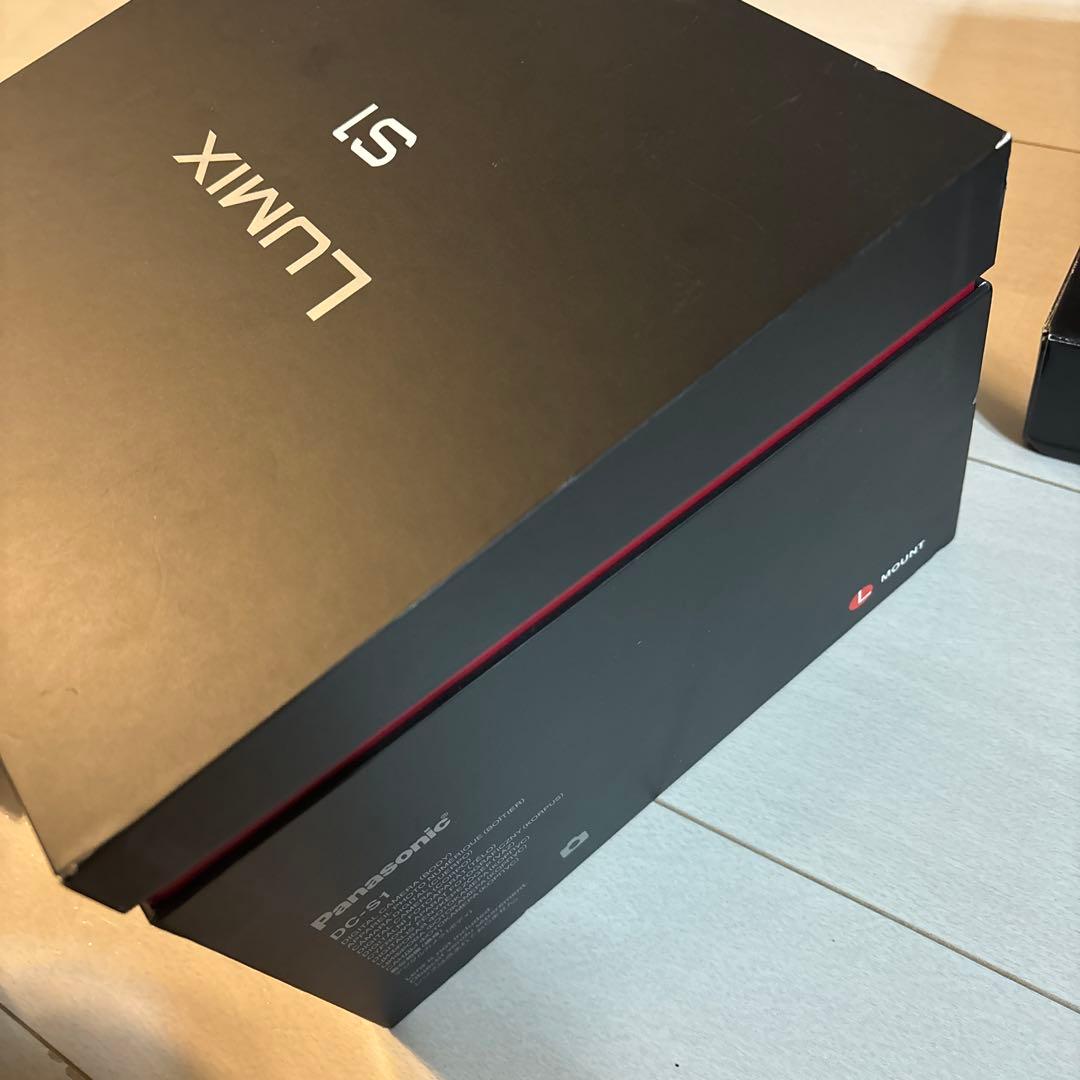 【少し訳あり・海外版】Panasonic LUMIX S1 ボディ