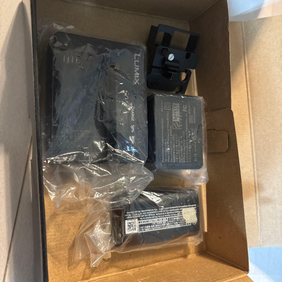 【少し訳あり・海外版】Panasonic LUMIX S1 ボディ