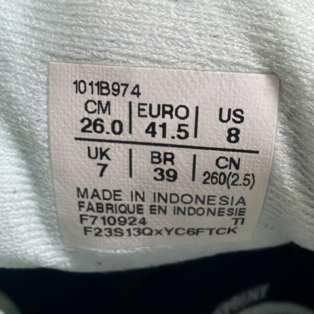 アシックス ノバブラスト 5 NOVABLAST 5 26.0cm