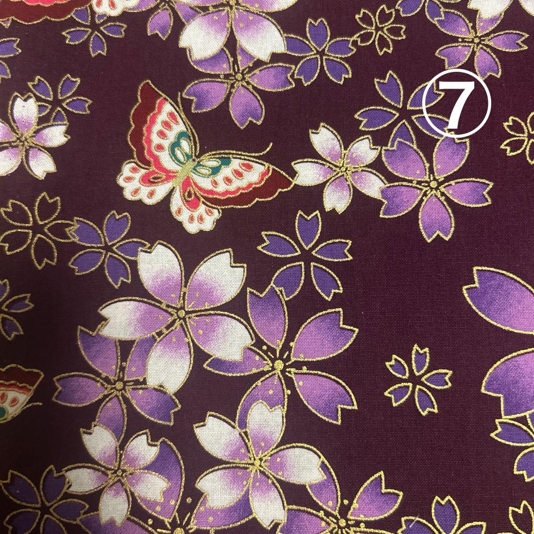 εïз の〜んびり限定品❗️超レアパネル合格祈願ポメラニアンお守り片面11枚