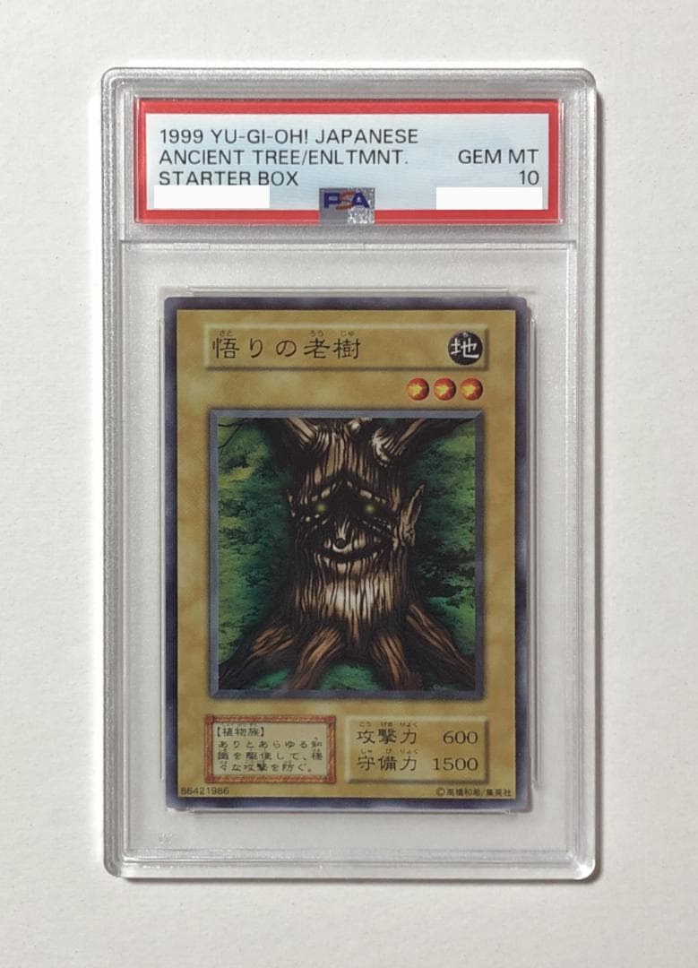 遊戯王 悟りの老樹 PSA10 初期 STARTER BOX【1999年物】